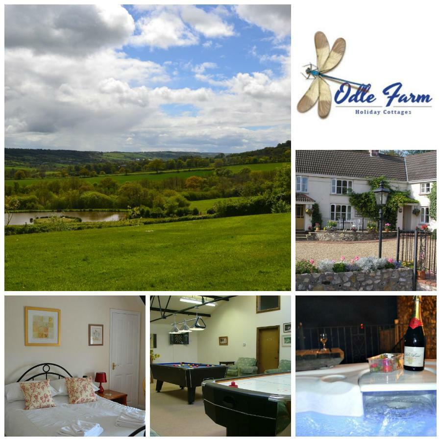 Odle Farm Βίλα Honiton Εξωτερικό φωτογραφία