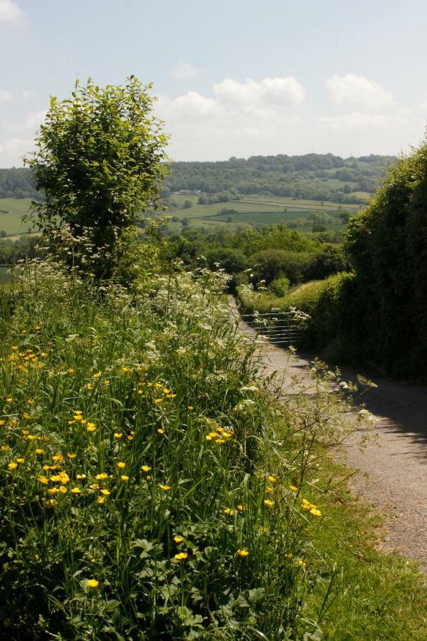 Odle Farm Βίλα Honiton Εξωτερικό φωτογραφία